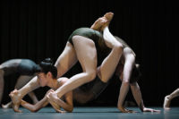 Amy Lim, Madeline Harms Andreas J. Etter